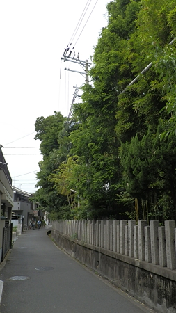 P6020482