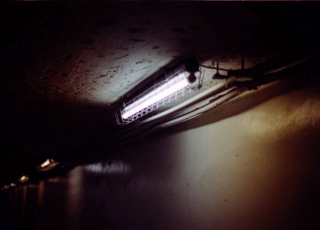 Image1244（OLYMPUS OM-2n）