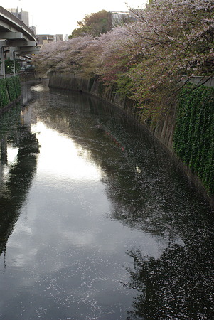 IMGP5961