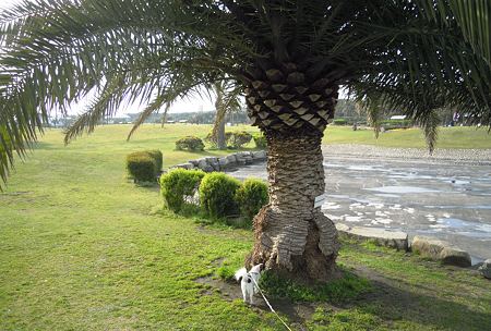 DSCN1818