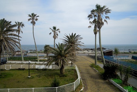 DSCN3037