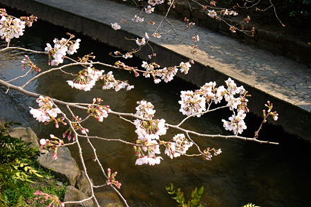 2011/3/30