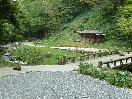 岡山2010 125