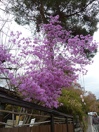 2011甲信 022