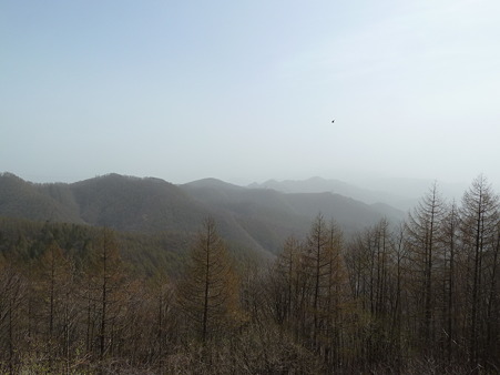 2011甲信 041