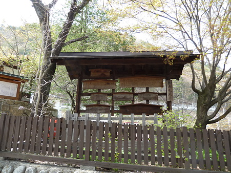 2011甲信 118