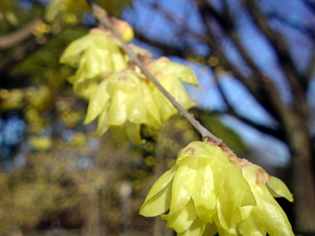 040