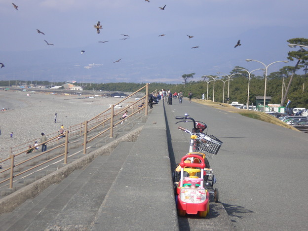 Photos: 千本浜1