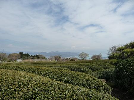 100403-日本平1 (8)