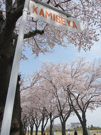 110411-海軍道路 (59)