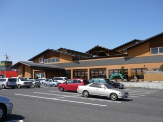 利休