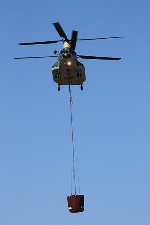 CH-47J #495 IMG_0644