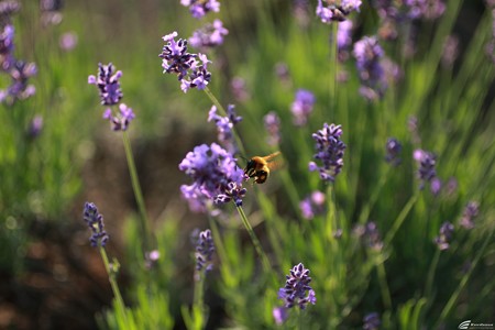 Blog_20140706_004