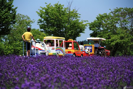 Blog_20140706_007