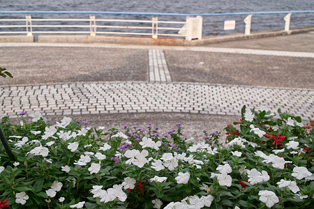 八景島