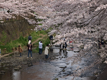 恩田川21