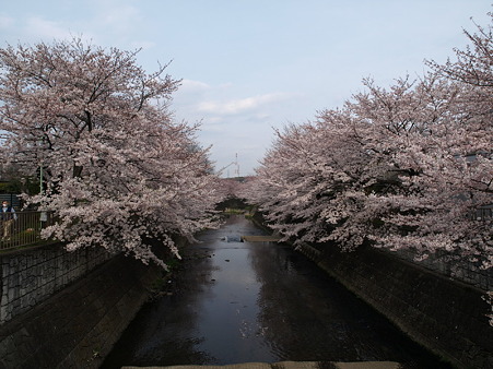 恩田川30