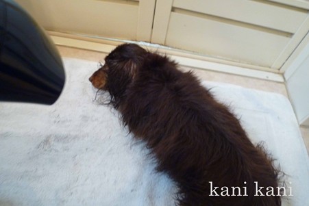 クイック&リッチ ボディさっぱりバスエッセンス