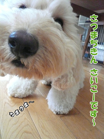 100914 くーかい of the day 3