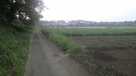 P1000799