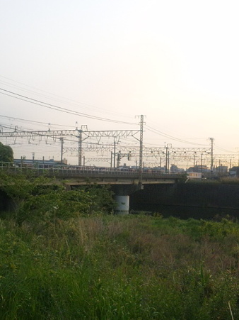 SBSH0274