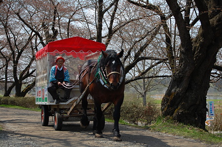 馬車