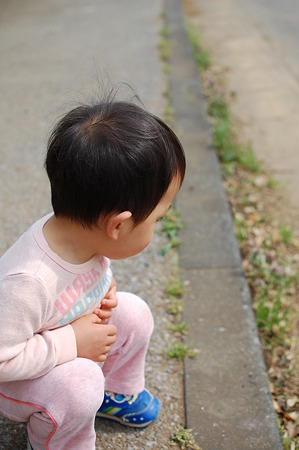 アリさんどこ行くの?