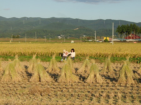 何話しているの?