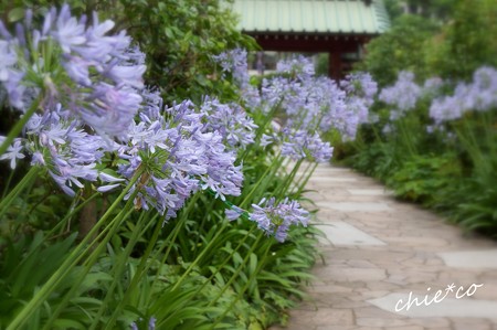 鎌倉-038