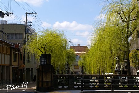 若緑・・京都街角sketch・・4