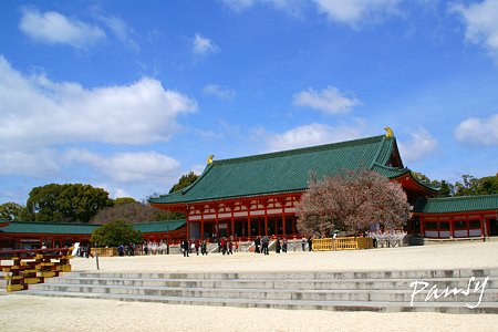 桜咲く・・平安神宮・・
