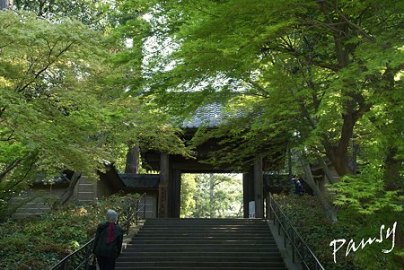 緑の総門・・