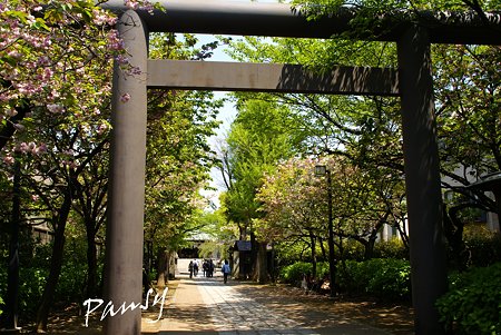 香取神宮にて・・