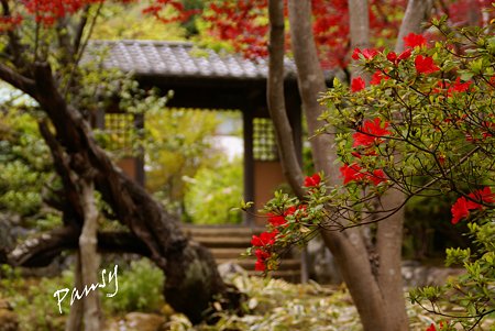 海蔵寺・・1