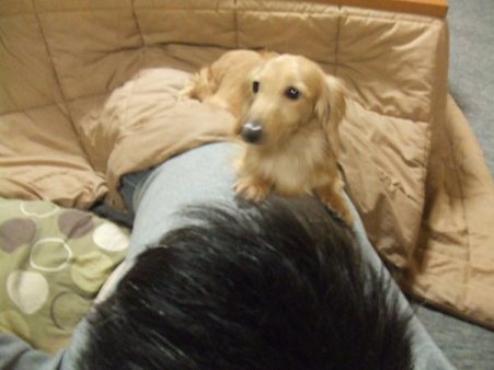 しばらく固まり動かない・・・