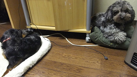 隅っこのマットで・・・
