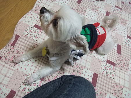 到着