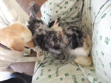春馬に乗られようが