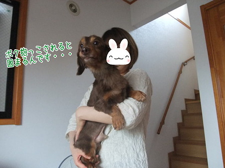 あいかわらずピーンのもんちゃん