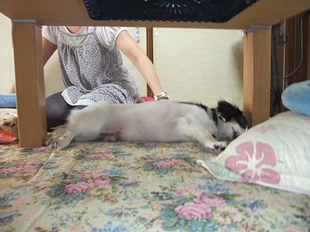 安心しきって