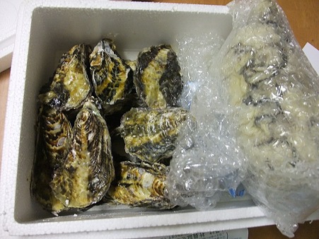 海の幸「牡蠣」