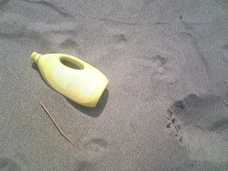 小針浜ビーチクリーン (3)