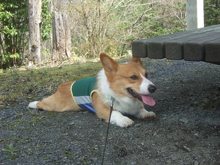 DSCF4557