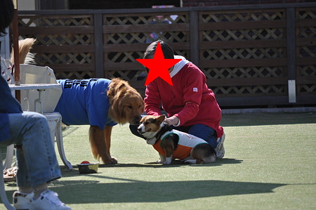 DSC_0274修正