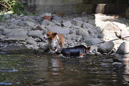 DSC_0456