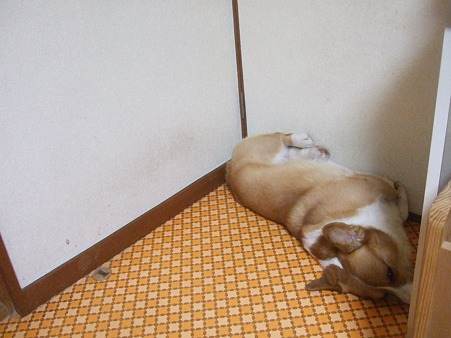 DSCF5948