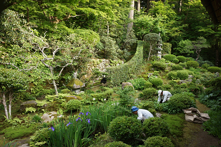 三千院 - 02