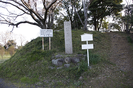 荏原城 - 02