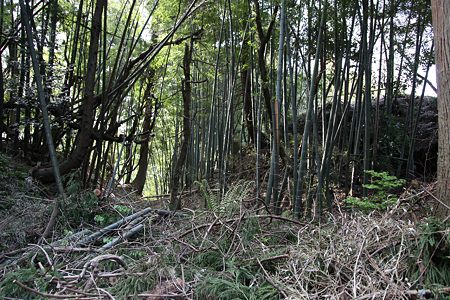 安田城 - 02