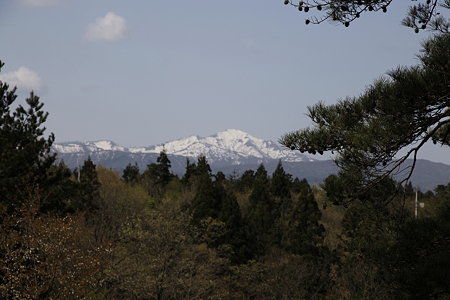 安田城 - 06